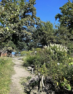 Jardin Instinctif, en face vous pouvez rejoindre la petite terrasse