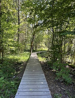 la passerelle a droite pour rejoindre les Grangettes et poursuivre a nouveau a droite