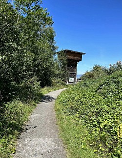 A ne pas manquer la tour d'observation des oiseaux