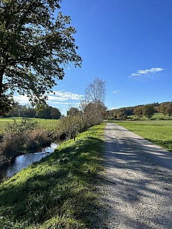 A gauche du sentier la Bibera