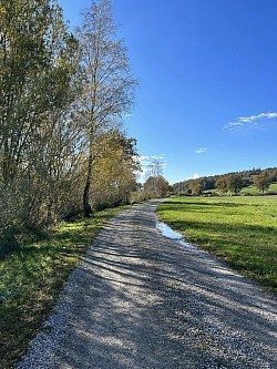 En direction de l'étang