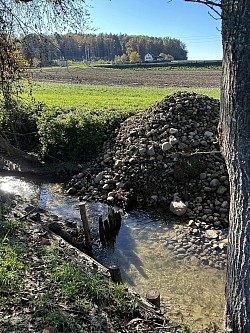 A droite cette fois du sentier autre travail des castors