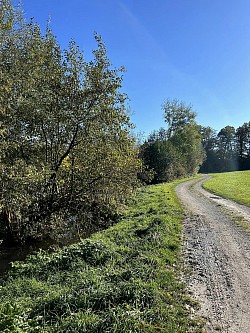 Suite du sentier sur Courtepin