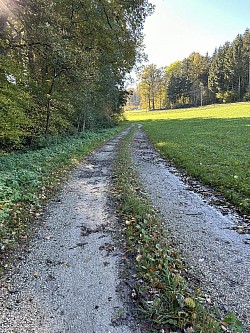 Fin du sentier des castors