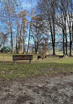 Apercu du parc