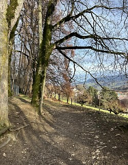 Contourner le parc dans un joli espace forestier