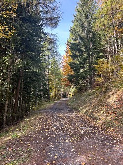 Suite du sentier