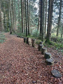 Suite du parcours