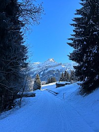 Vue du sentier en direction des Diablerets