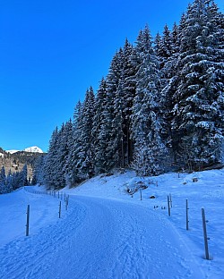 Moment magique sur ce sentier