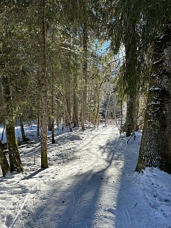 Deuxième sentier qui rejoint le Droutzay