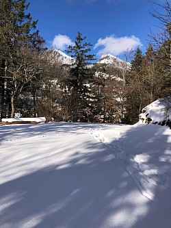 En haut. Du chemin le petit banc