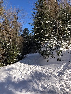 Suite de la balade en descente