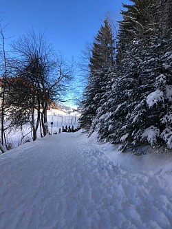 En direction du parc à biches