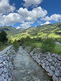 Sentier au bord de la rivière