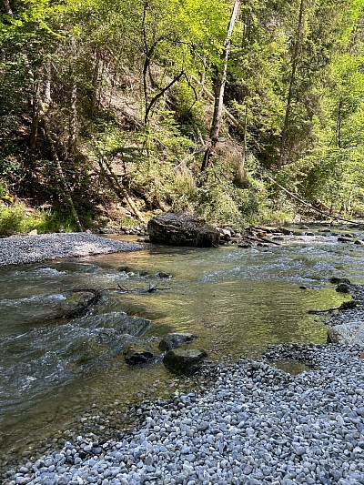 Gorges de la Jogne
