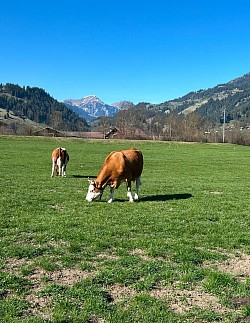Le côté bucolique du parcours