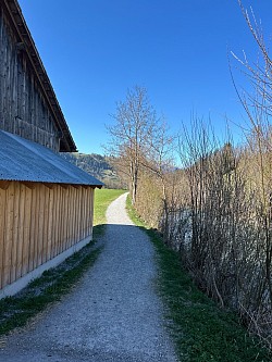 Le 1er sentier avant le pont en bois