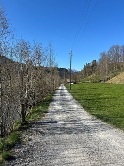 2ème sentier après avoir traversé le pont en bois