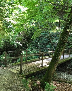 Petite passerelle en bois au fil du chemin