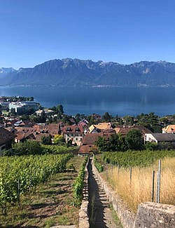 Vue incroyable depuis le sentier des Cépages
