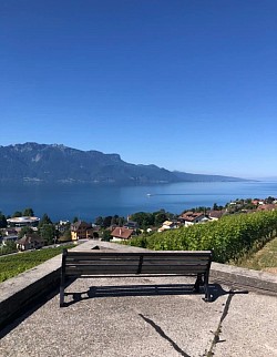 Vue depuis ce banc, juste magique ✨