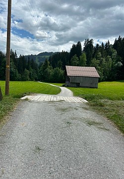 Suite du parcours en direction de l’espace forestier